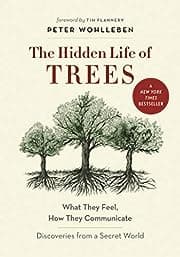 The Hidden Life of Trees’ by Peter Wohlleben