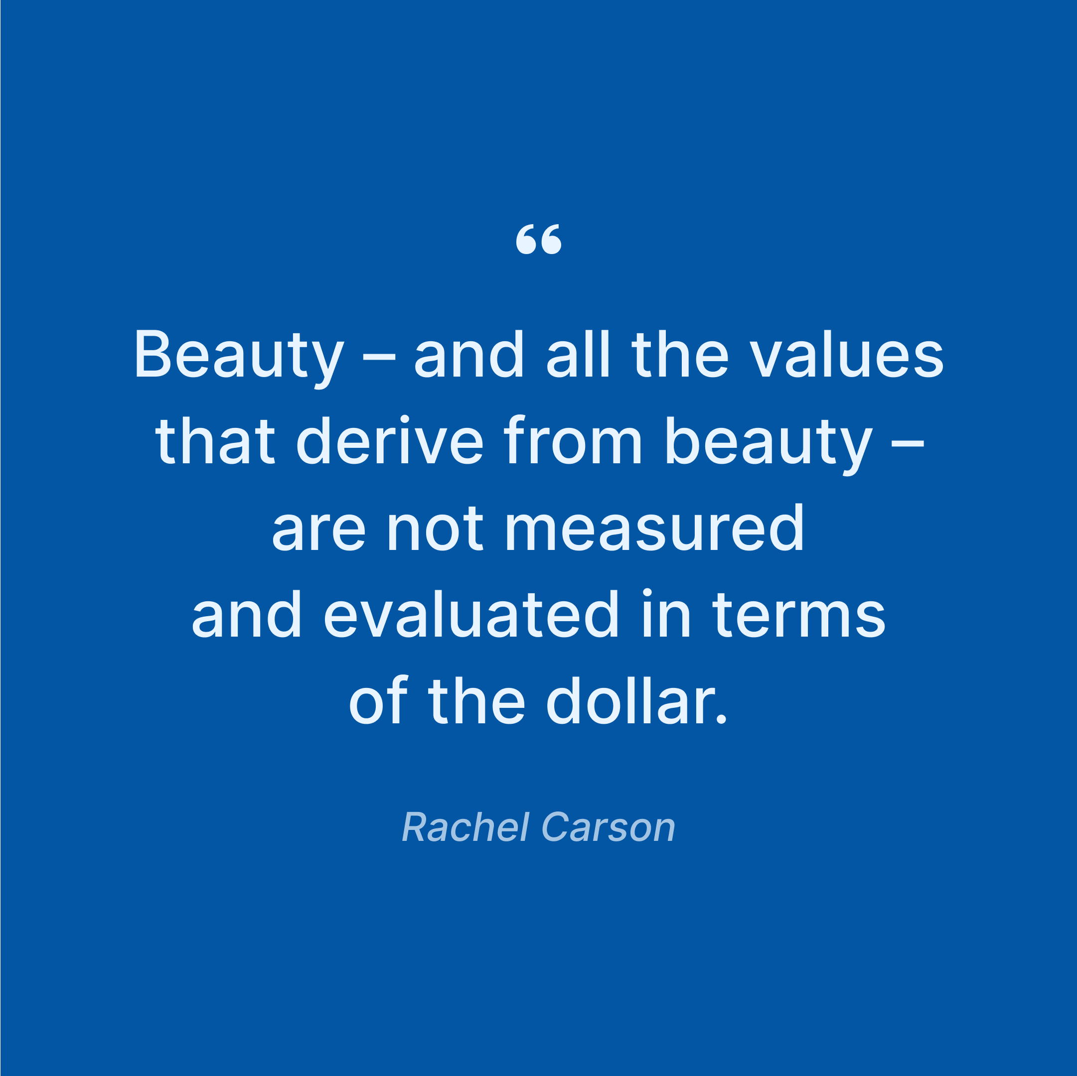rachel-carson-wisdom-beauty-quote