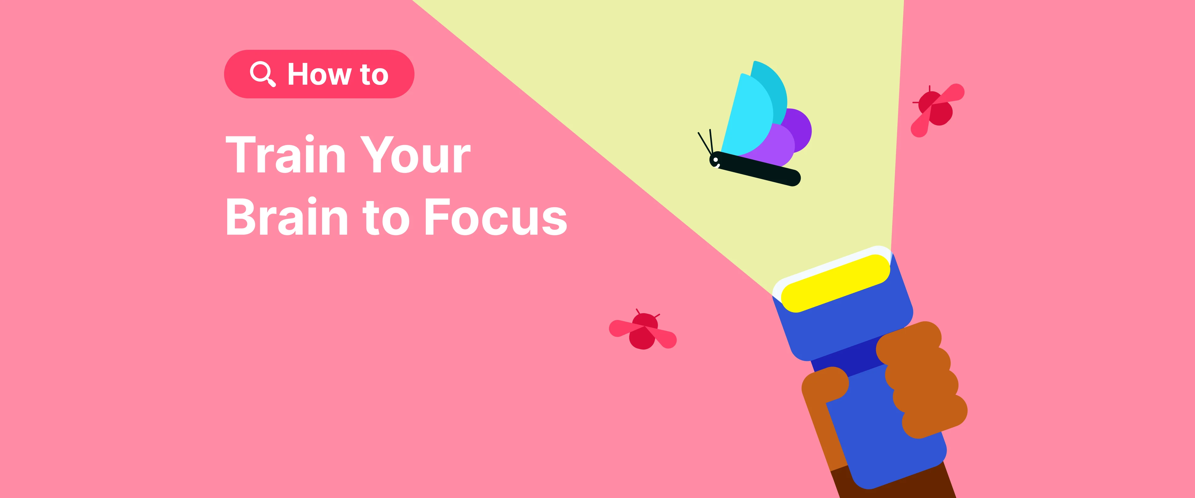 how_to_train_your_brain_to_focus