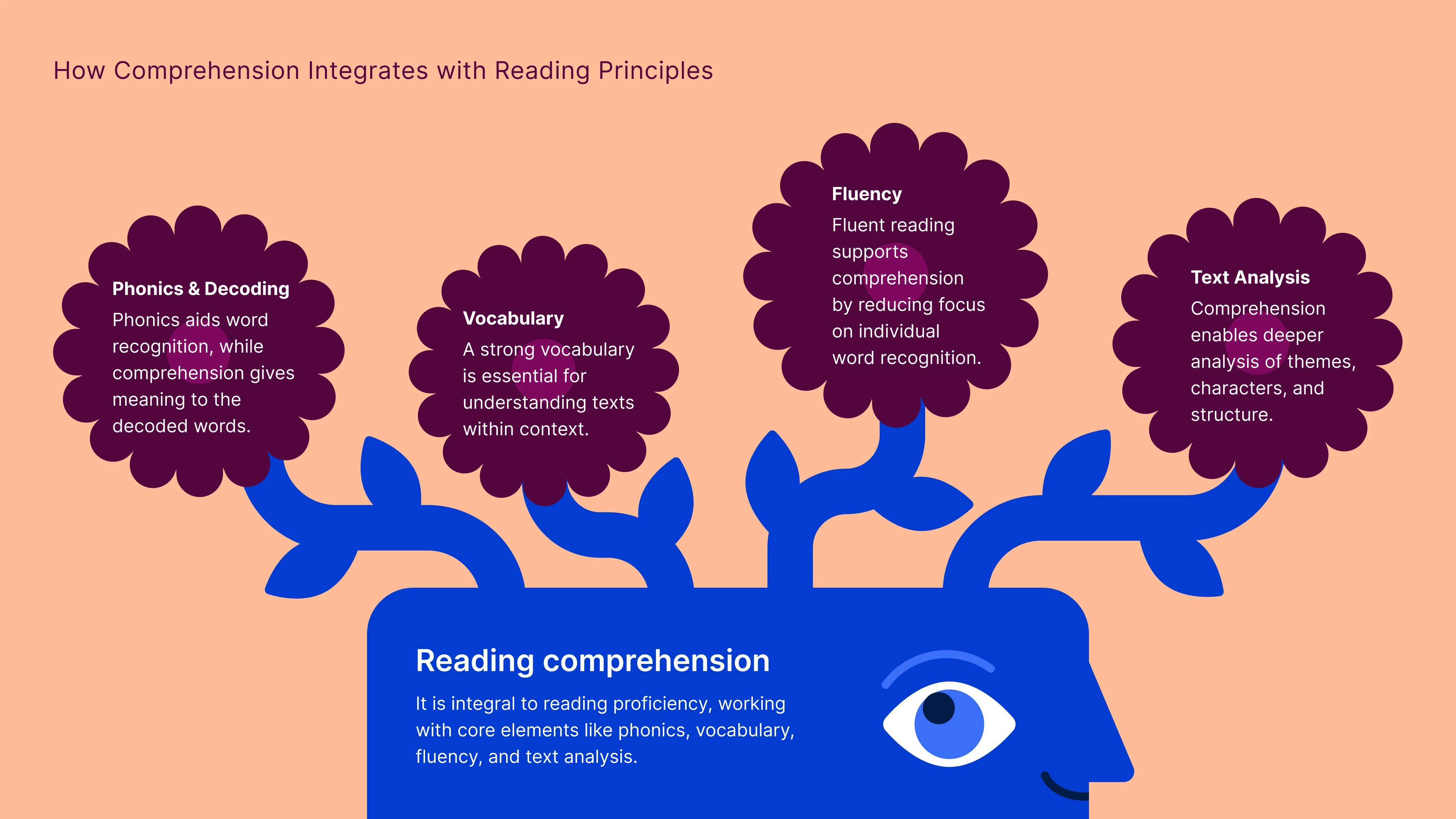 how_comprehension_integrates_with_reading_principles