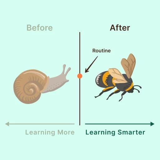 Daily routine illustration