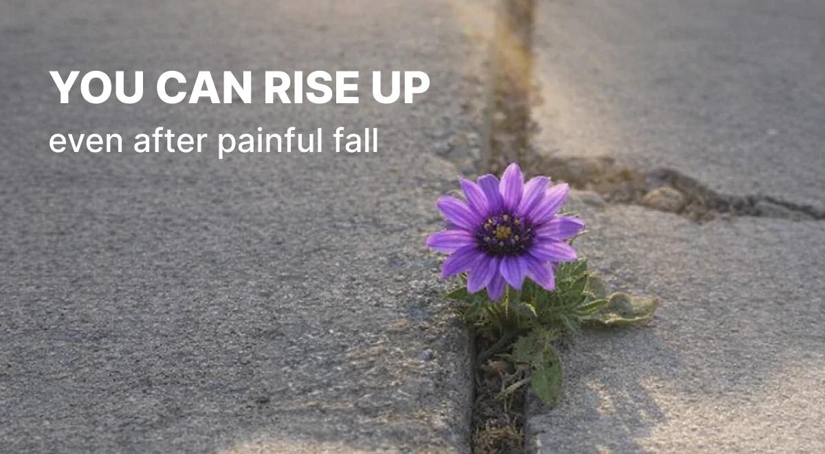 Purple flower growing through a crack in gray asphalt pavement, symbolizing resilience and the healing process after betrayal