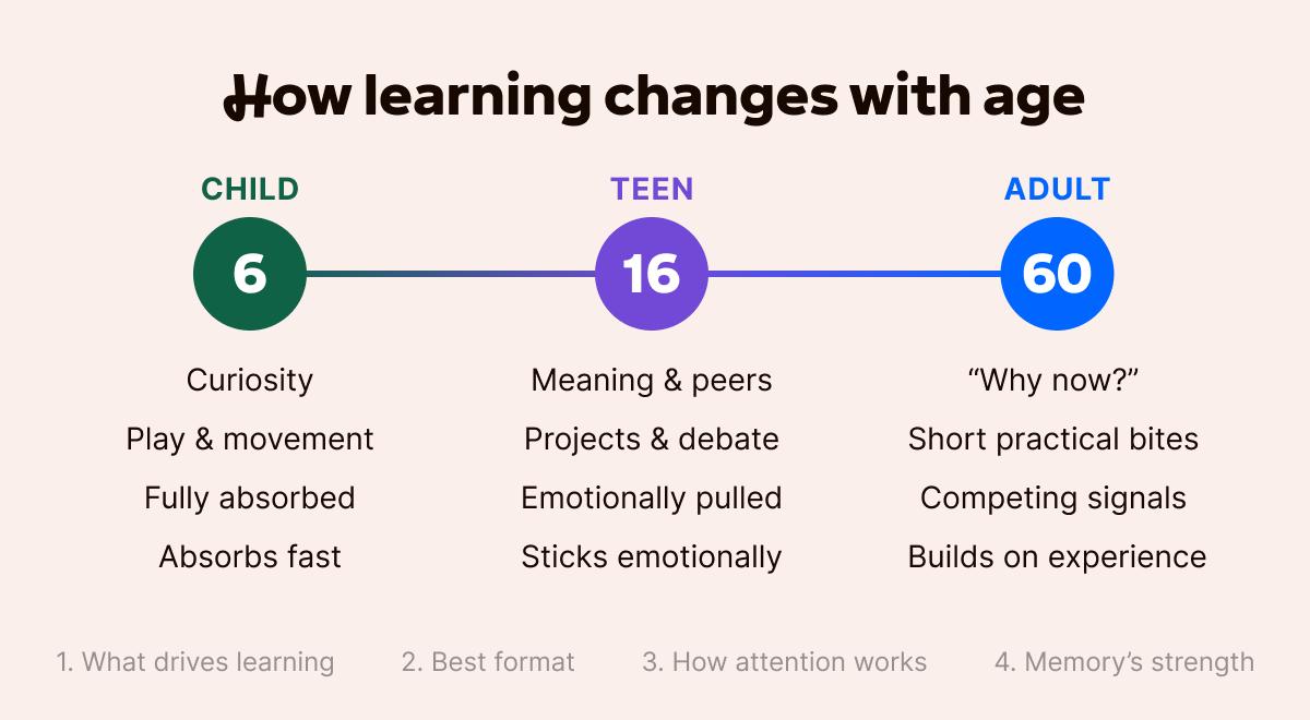 Infographic showing how learning changes with age across three stages—child at 6, teen at 16, and adult at 60—comparing curiosity, motivation, attention, and memory traits for each group
