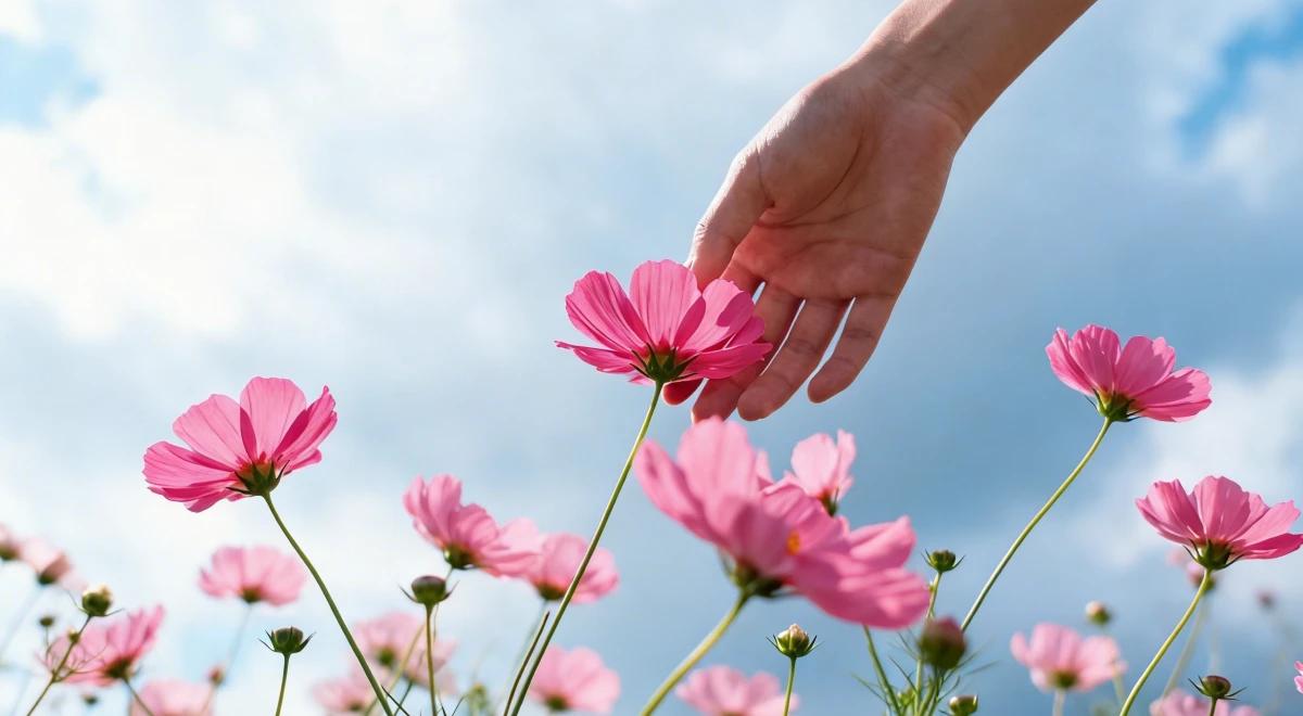 _Hand gently touching pink cosmos flowers against a blue cloudy sky, symbolizing a growth mindset and intentional connection with nature