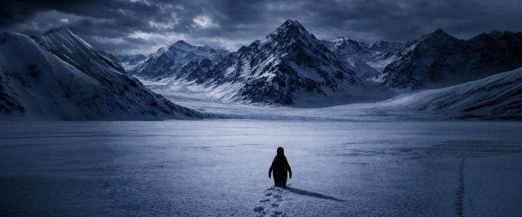 Solitary penguin walking across frozen landscape with dramatic snow-covered mountain peaks under stormy sky, representing The Nihilist Penguin concept