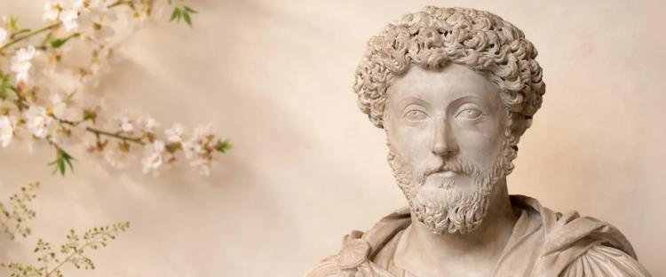 Marble bust of Marcus Aurelius with detailed curly hair and draped toga against a warm beige background, surrounded by delicate white cherry blossoms and daisy branches