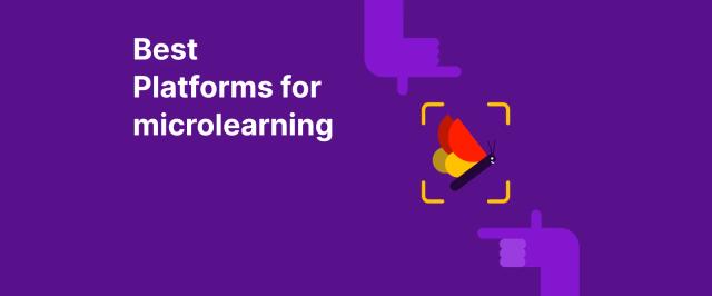 Best Platforms for Microlearning - Hands framing a butterfly in focus on a purple background