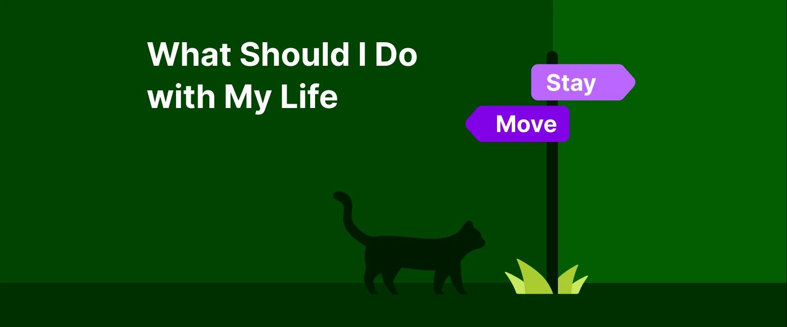 Purple directional sign showing Move and Stay choices with black cat silhouette on dark green background illustrating what should i do with my life decision