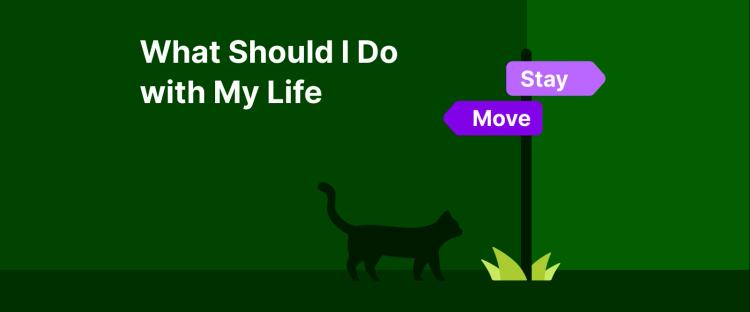 Purple directional sign showing Move and Stay choices with black cat silhouette on dark green background illustrating what should i do with my life decision