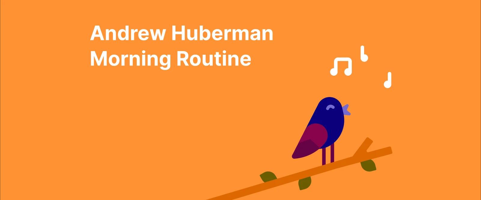 Illustration of a bird singing on a branch at sunrise with text Andrew Huberman Morning Routine, symbolizing healthy morning habits