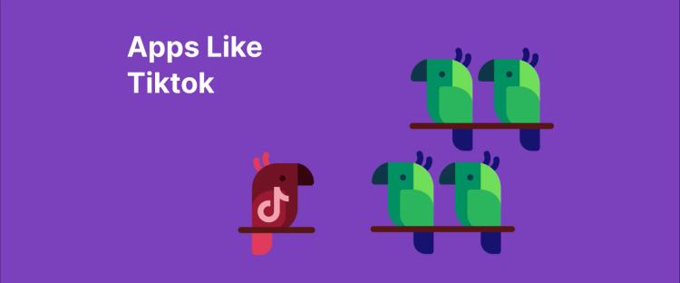 Parrots on a perch with a small TikTok horse icon, introducing apps like TikTok and fun TikTok alternatives