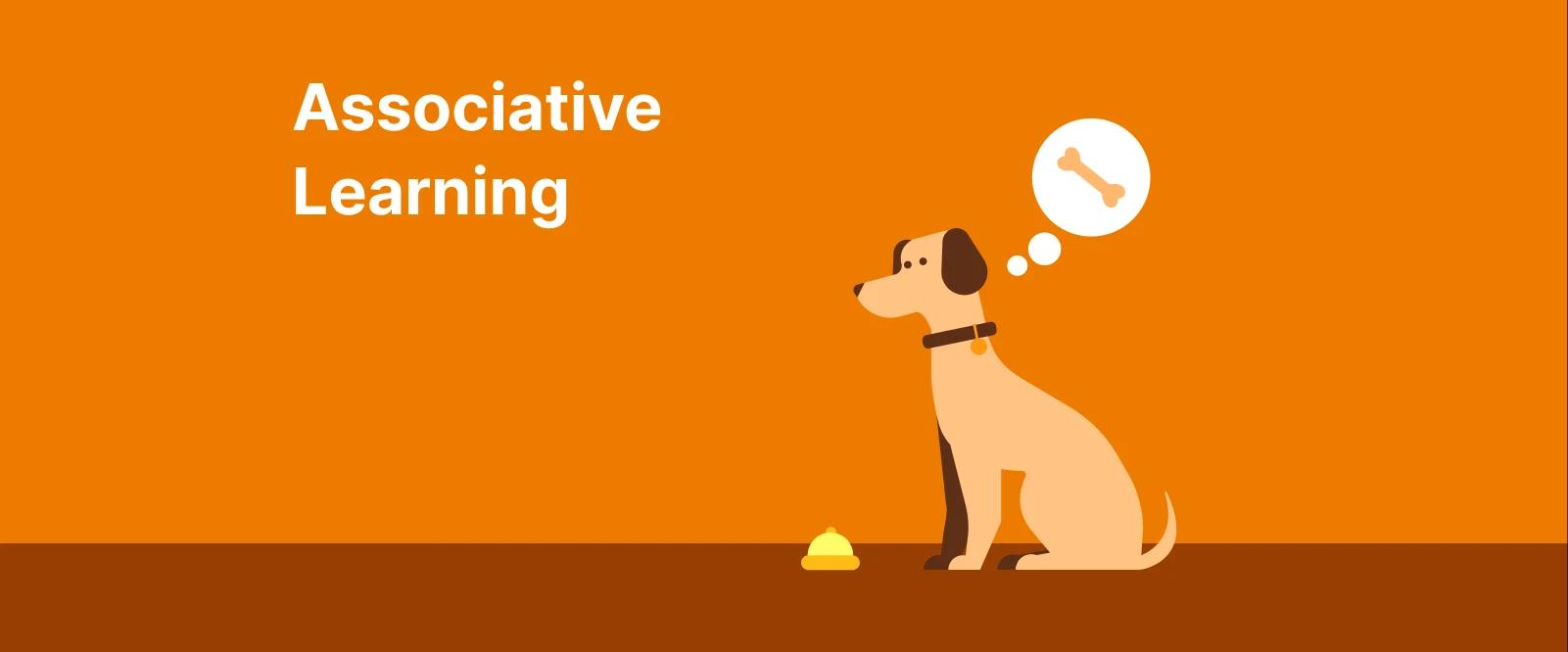 Associative learning illustration with dog thinking about bone on orange and brown background
