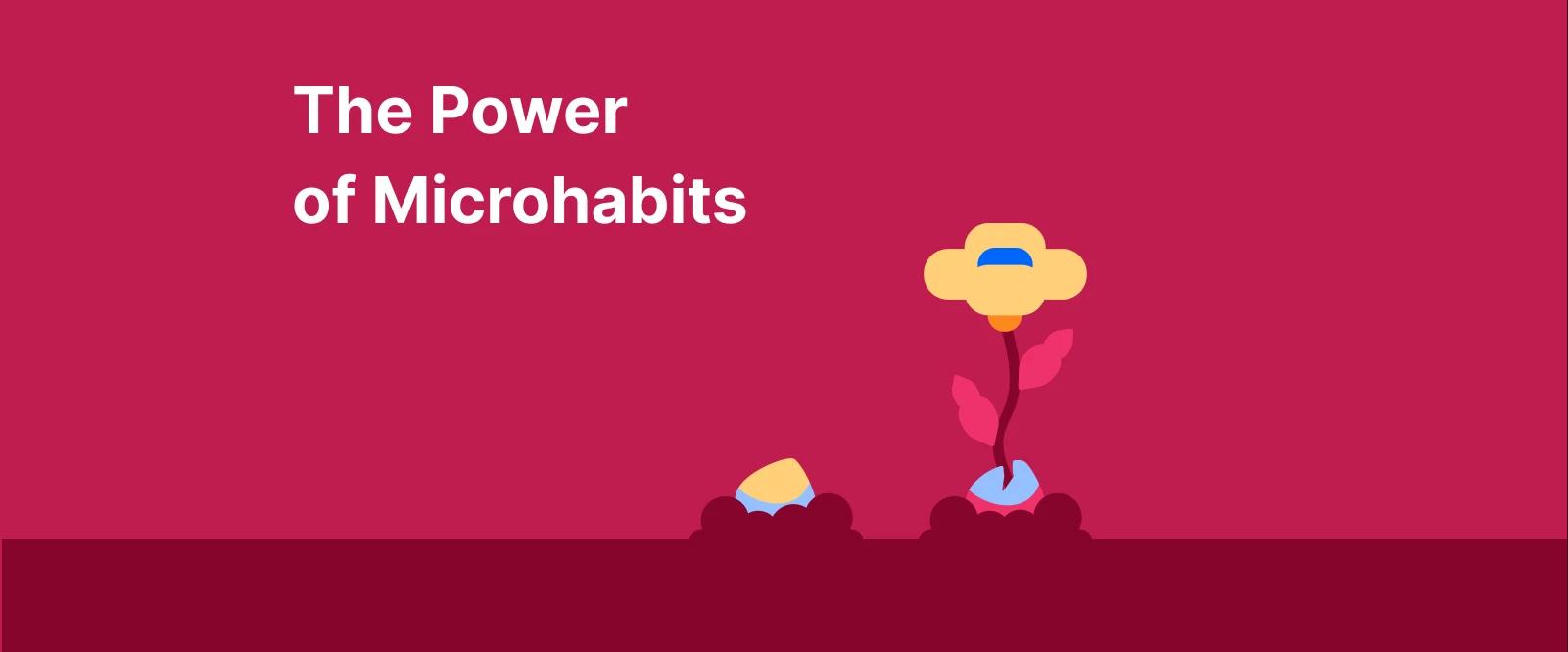 The power of micro habits illustrated with growing yellow flowers from small to large on vibrant pink background