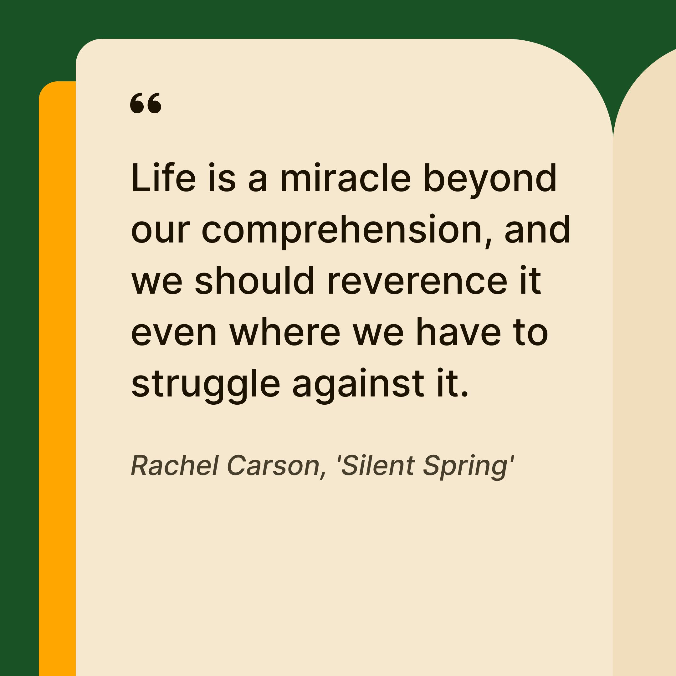 rachel-carson-insights-about-life-miracles