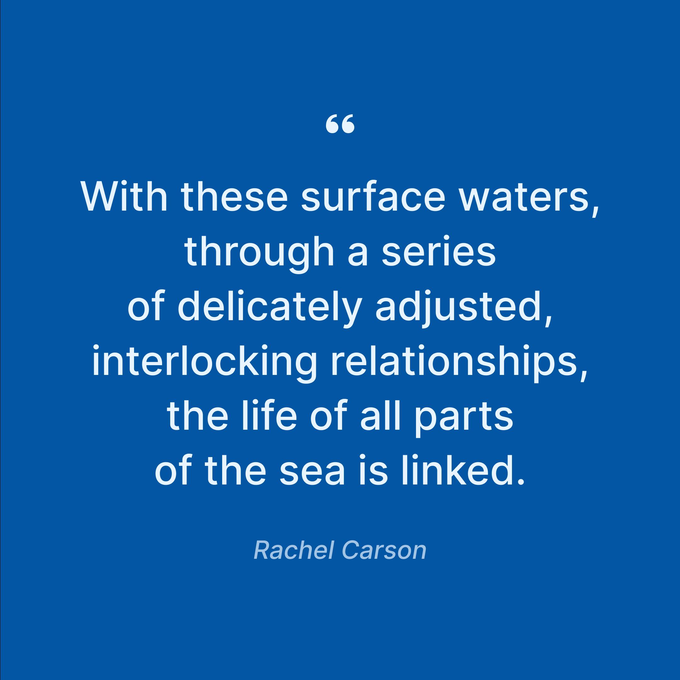 rachel-carson-reflections-on-life-and-sea