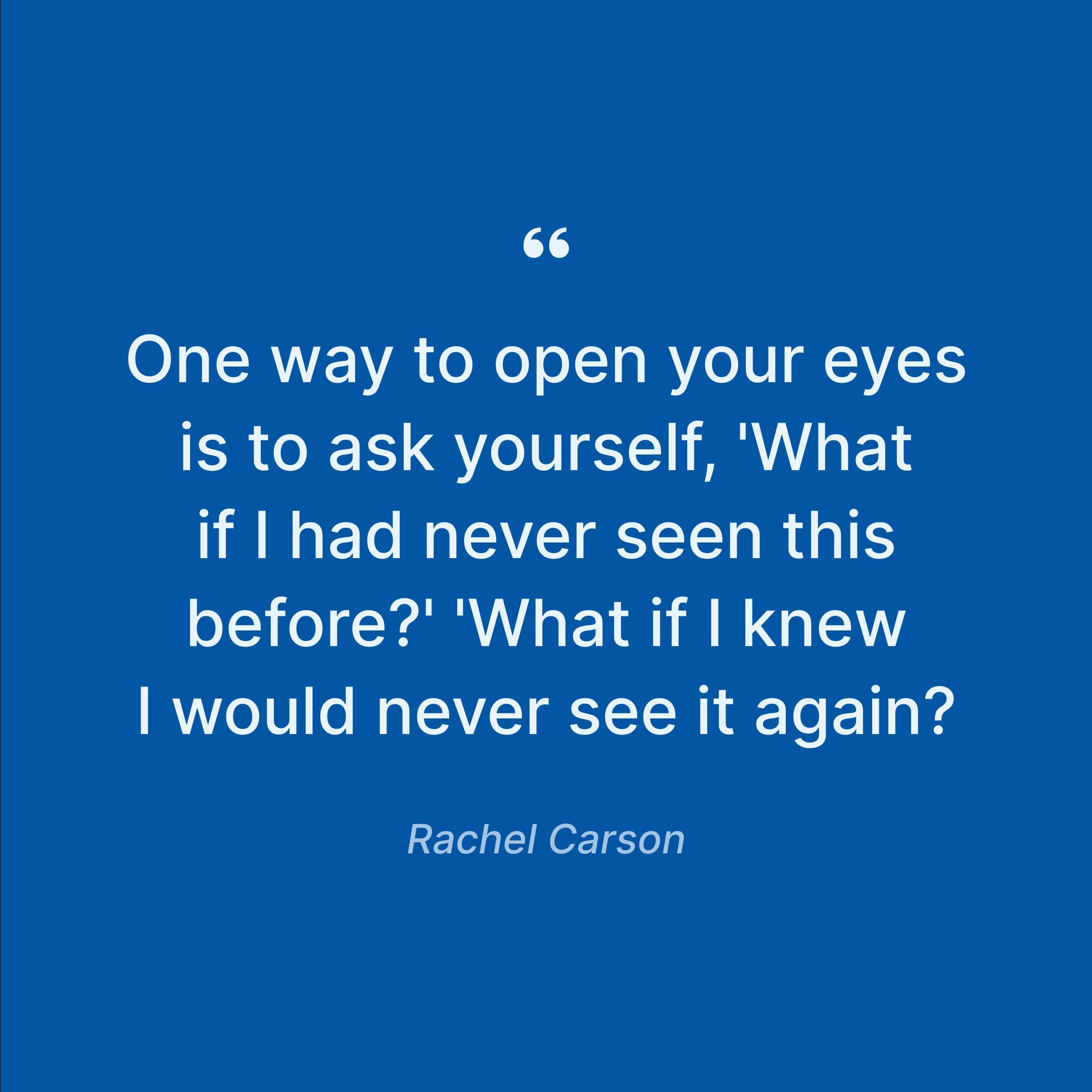 rachel-carson-expressions-about-opening-your-eyes