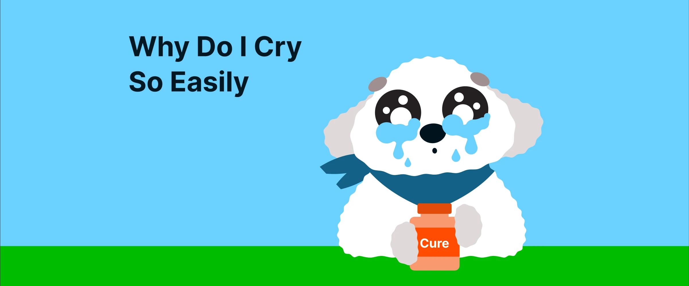 Cartoon puppy with teary eyes holding a small orange jar labeled “Cure” under blue sky and green ground, illustrating emotional vulnerability and the question why do I cry so easily for mental health awareness