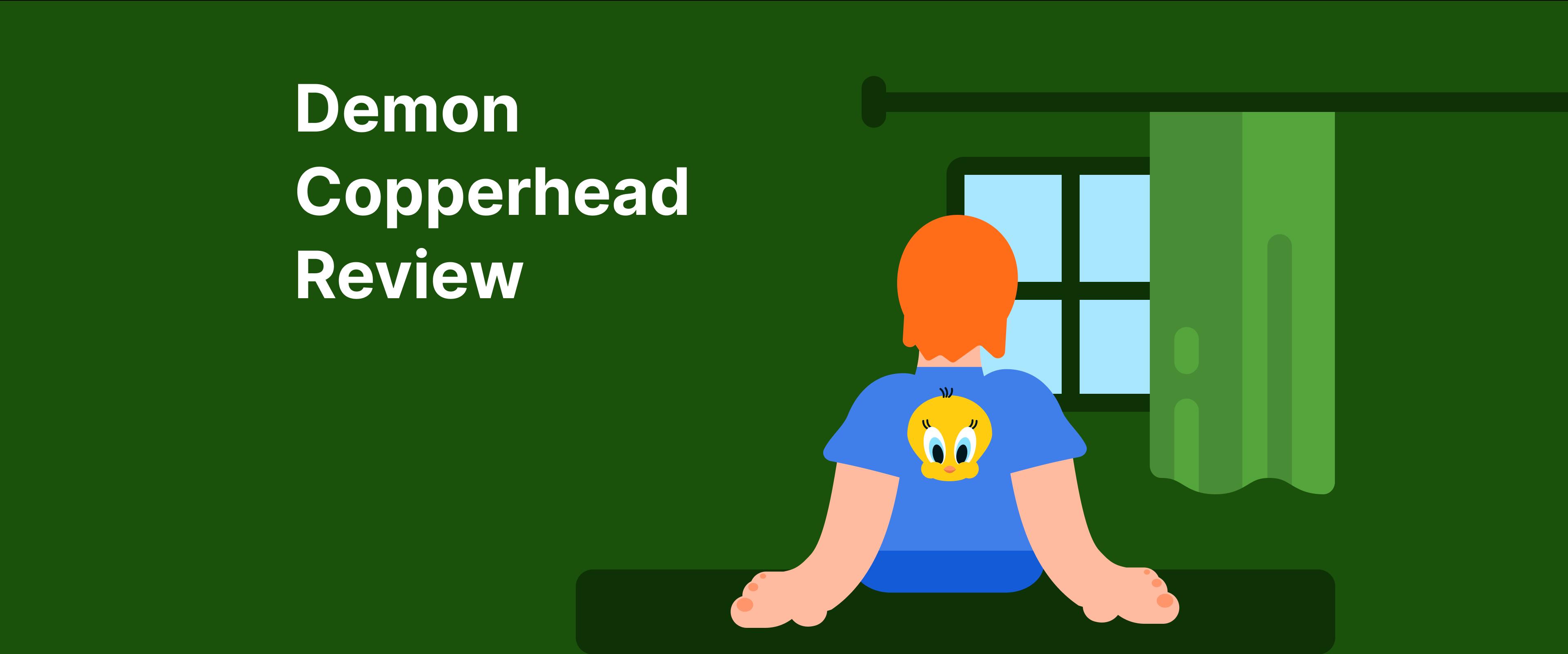 Demon Copperhead Review: Boy in tshirt with tweety sits on the bench in front of the window Demon Copperhead Book Review