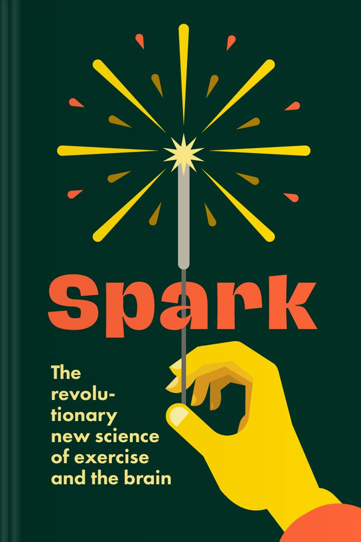Spark book