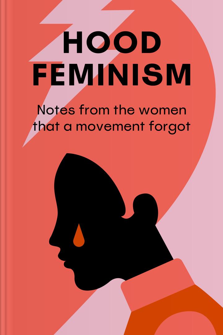 Hood Feminism book