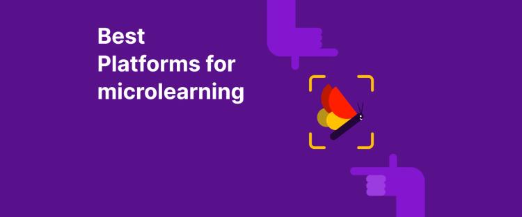 Best Platforms for Microlearning - Hands framing a butterfly in focus on a purple background